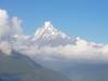 Klantbeoordelingsfoto van Ghorepani Poon Hill Trek met Wildlife Avontuur 4