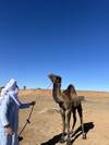 Klantbeoordelingsfoto van Van Marrakech naar Merzouga Woestijn Tour in 5 Dagen 3