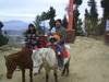 Mesmerizing Shimla, Manali & Chandigarh from Delhi - 07 Days customer review photo 1
