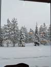 Lapland 7 days in Santa Claus Town on the Arctic Circle! customer review photo 6