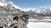 Gokyo and Everest Base Camp trek customer review photo 2