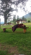 Bhutan Tour with 4* hotel customer review photo 6