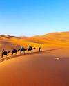 Private 5-Day Sahara Desert Round Trip from Marrakesh customer review photo 3