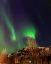 6 day Guided tour | Hidden Powers & Northern Lights Hunt - Small Group customer review photo 4