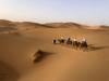 Journeys: Morocco Highlights National Geographic Journeys customer review photo 2