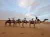 Imperial Cities & Sahara Discovery Tour from Casablanca customer review photo 5