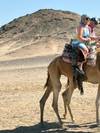 Explore Egypt from Cairo: 14-Days 13-Nights Cairo, Alexandria, Nile Cruise and Red Sea customer review photo 1
