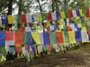 Best of Bhutan Tour customer review photo 3