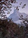 Mardi Himal Base Camp Trek-9 Days customer review photo 2