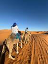 Photo d'avis client sur Circuit privé de 6 jours au départ de Casablanca via Chefchaouen, Fès et le désert du Sahara de Merzouga 3