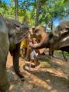 foto de reseña de cliente de Tailandia encantadora: de los templos a las islas tropicales (privado a medida) 1