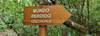 Land of Belize customer review photo 4