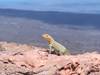Galapagos Affordable 8 Days Tour customer review photo 4