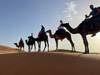11 Days Must-See Morocco Cultural Tour From Casablanca customer review photo 4
