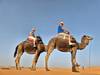 Moroccan Express: From Marrakech, Merzouga, Fes and back in 4 days (Private Tour) customer review photo 4
