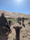 Mongolia Naadam Festival & Gobi Desert Tour 2024 customer review photo 6