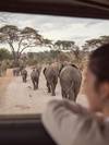 Tanzania Wildlife Experience Safari customer review photo 3