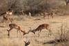 3 Days Best Ever Kruger National Park Safari from Cape Town customer review photo 4
