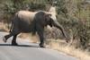 3 Days Best Ever Kruger National Park Safari from Cape Town customer review photo 5