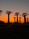 Photo d'avis client sur Découvrez l'unique à Madagascar - Lémuriens, Baobabs, Tsingy 4