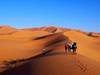 10-Day Classic Private Morocco Tour: Imperial Cities, Sahara Desert & Authentic Berber Culture customer review photo 1