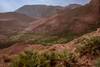2025 Hidden Gems Gravel Bike Tours in Morocco’s Atlas Mountains customer review photo 2