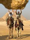 Photo d'avis client sur L'expérience égyptienne ultime : Circuit de 10 jours tout compris avec le GEM du Caire, la croisière sur le Nil, Alexandrie et Safari (Abou Simbel et montgolfière) 5
