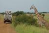 Tanzania Wildlife Experience Safari customer review photo 5