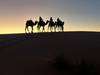 Morocco 7-Day Private Tour: Chefchaouen, Fes Heritage & Merzouga Desert Safari From Marrakech customer review photo 1