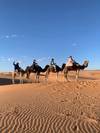 5 Day Morocco Sahara Desert Round Trip from Marrakesh to Erg Chebbi customer review photo 1