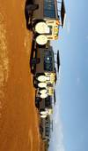 Photo d'avis client sur 3 jours de safari en camping sous tente dans le Masai Mara 2