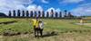 4-Days trip to Easter Island (Rapa Nui) customer review photo 1