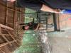  customer review photo 4