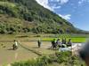 Mighty Vietnam Offroad Motorbike Tour via Mai Chau, Sapa, Ba Be Lake, Mu Cang Chai customer review photo 4