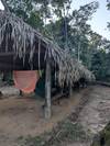 Photo d'avis client sur Aventure dans la jungle amazonienne de Manaus 5J/4N 3