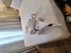 customer review photo 2