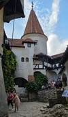 Private 3-Day Best of Romania Tour from Bucharest: Peles Castle, Bran Castle, Bears Sanctuary, Brasov, Sighisoara, Viscri, Rasnov Fortress and Snagov Monastery With Hotel Pick Up Drop Off customer review photo 1
