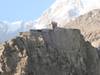 Luxury Pakistan to China Tour: From Karakoram to Pamirs customer review photo 3