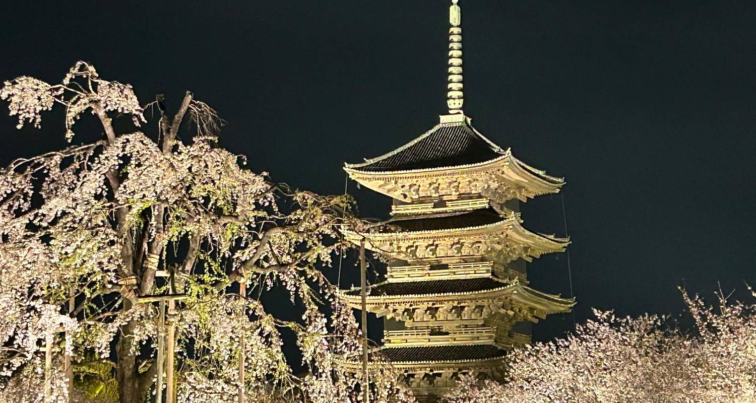Cherry blossoms and pagoda in Tokyo to Osaka travel
