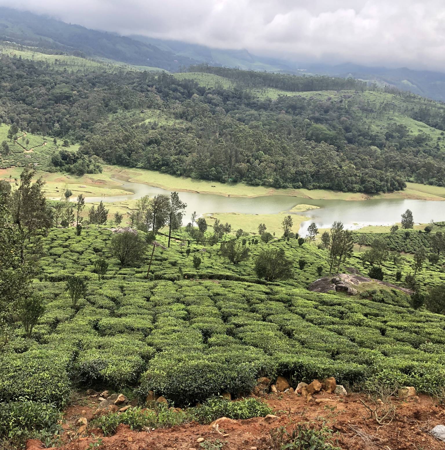 Munnar – Munnar — Munnar