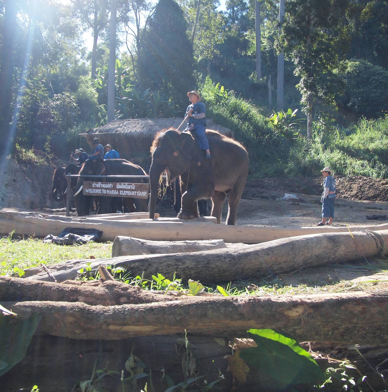 Damnoen Saduak (share trip)- Chiang mai by train or a/c bus — Damnoen Saduak