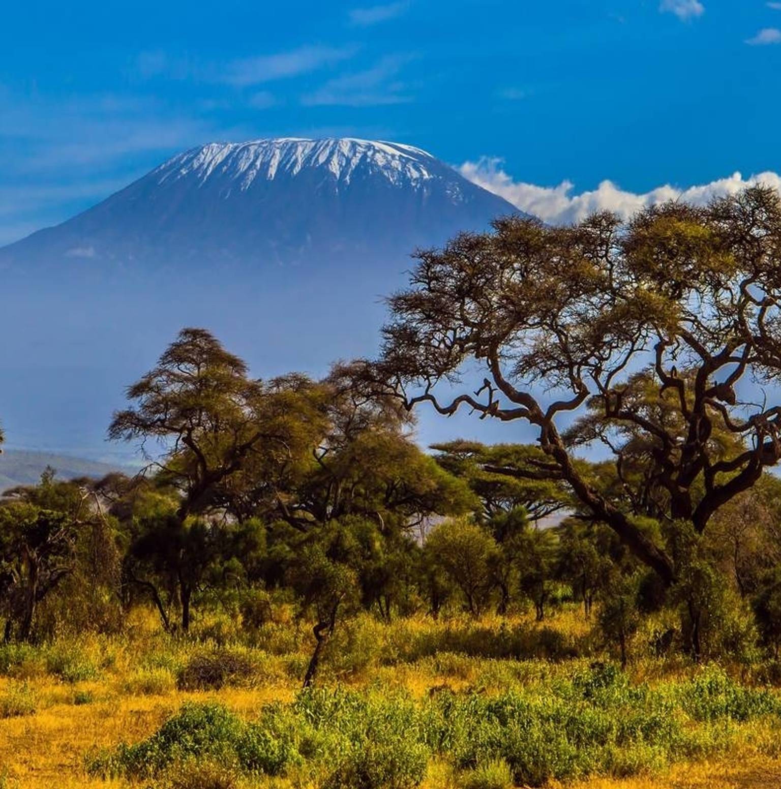 Arrive in Kilimanjaro international airport — Moshi