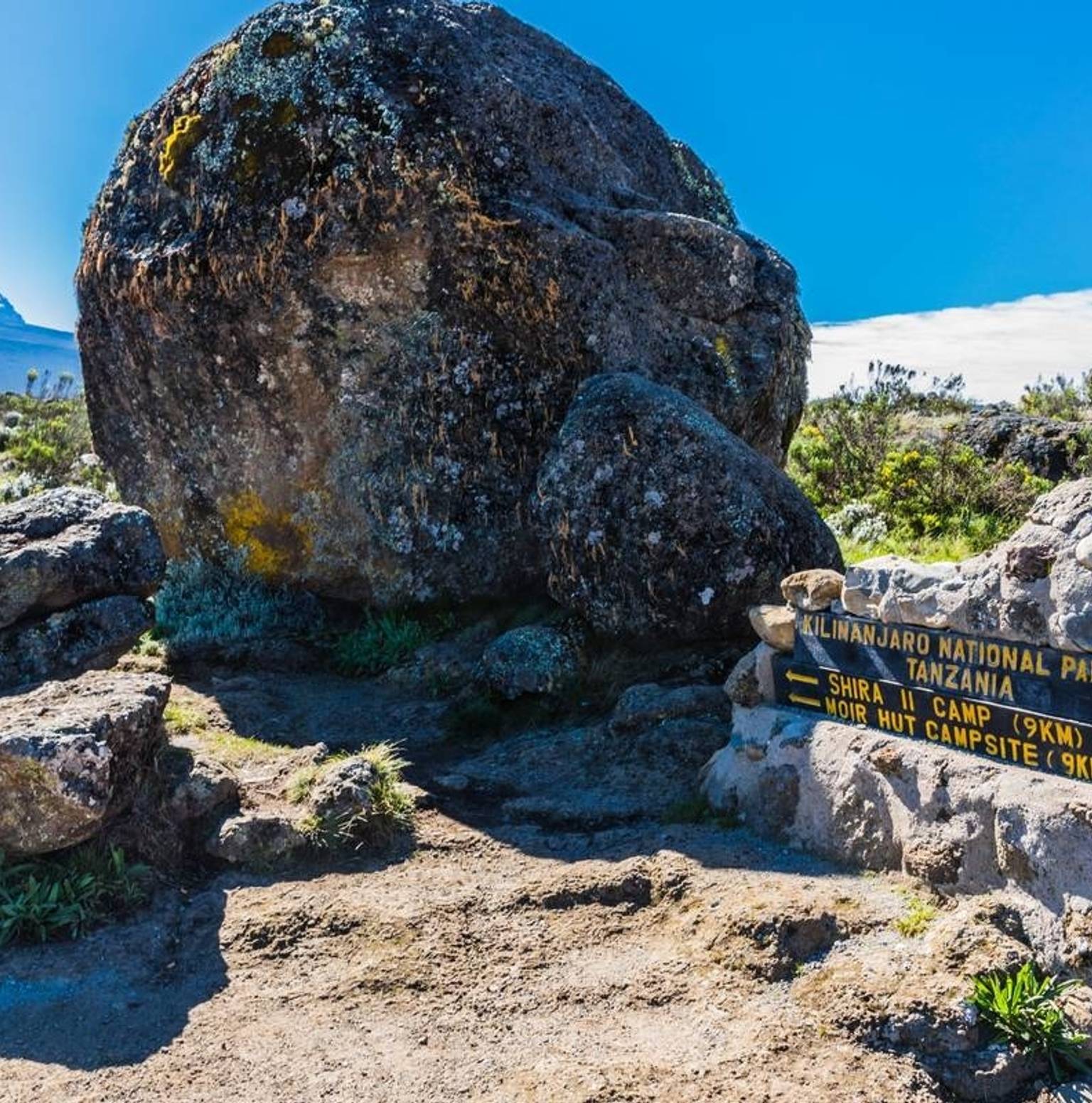 Mti Mkubwa (Big Tree) Camp (2780m)  to  Shira Camp 1 (3500m) — Shira Camp One