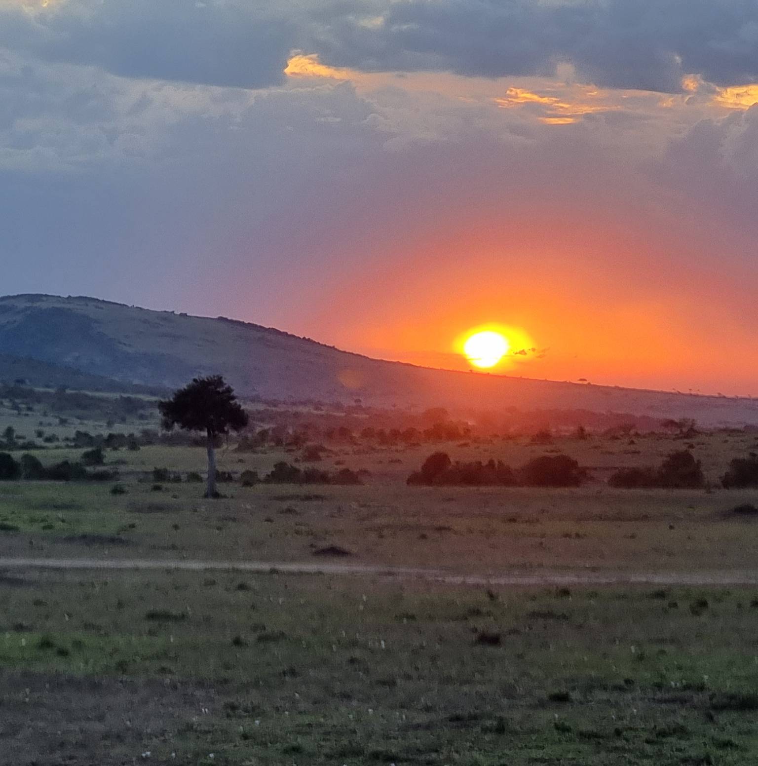 Nairobi to Masai Mara — Nairobi