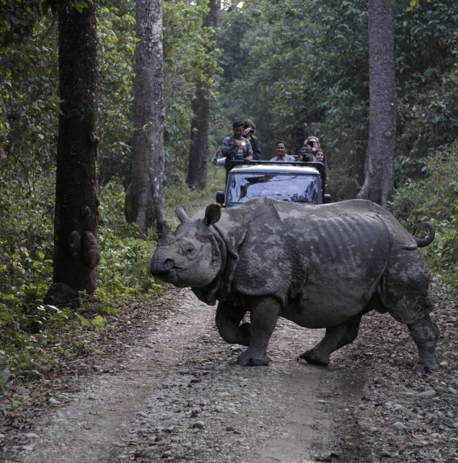 Chitwan National Park — Chitwan National Park
