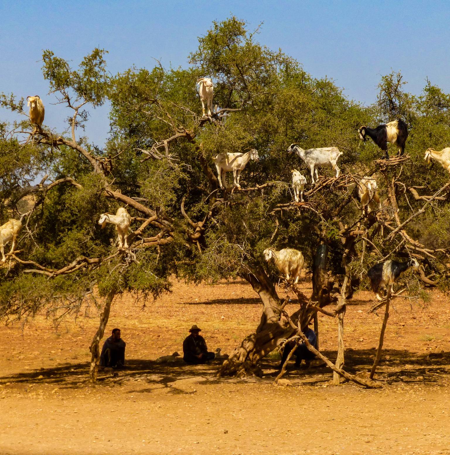 Marrakesh - Essaouira — Marrakesh