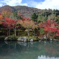 De essentie van Japan (7 bestemmingen): foto van de reiziger #1