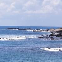 Exotic Costa Rica traveler photo #3