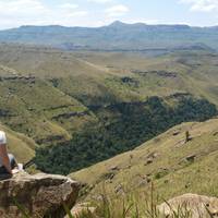 3 day Kruger Safari Bush Escape traveler photo #1