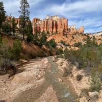 De Mighty 5 - vanuit Salt Lake City: foto van de reiziger #1